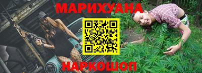 прущие крисы Кингисепп