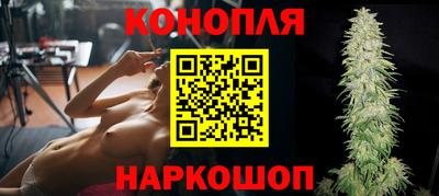прущие крисы Кингисепп