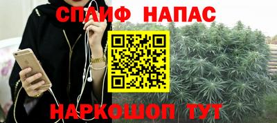 прущие крисы Кингисепп