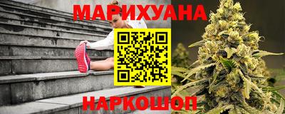 прущие крисы Кингисепп