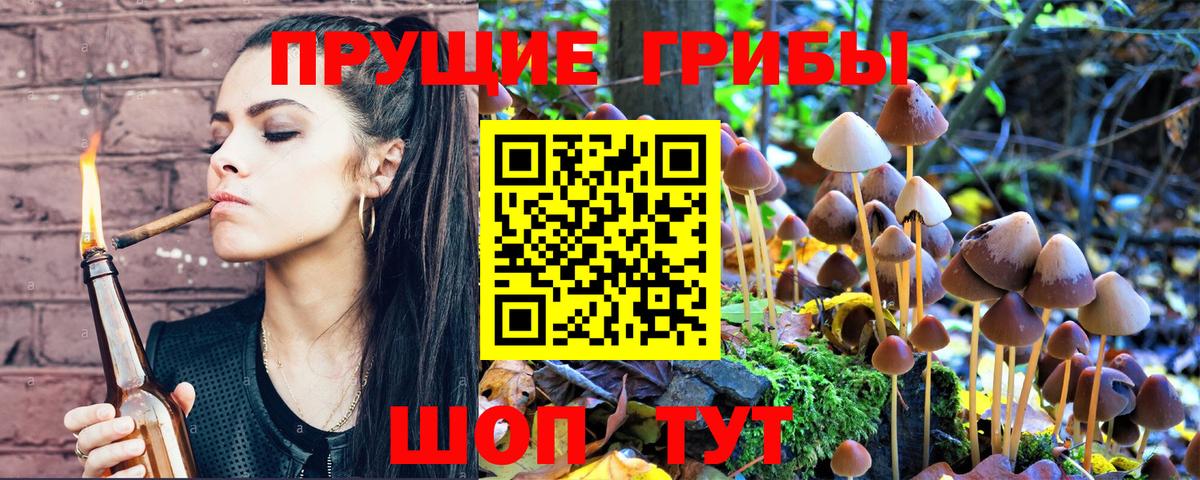 Ялта  Псилоцибиновые грибы MAGIC MUSHROOMS  Вход с VPN 