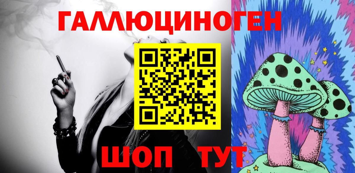 Псилоцибиновые грибы Psilocybine cubensis Ялта